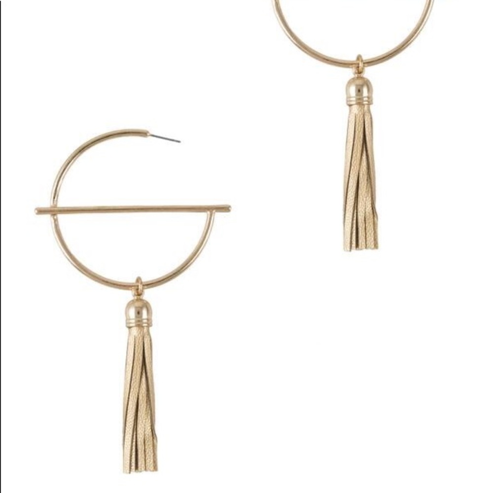 Barred Hoop wit Tassel earring